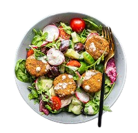 Falafel Salad 